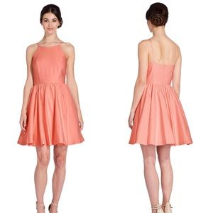 Sophia Fit and Flare Adrianna Papell Dress